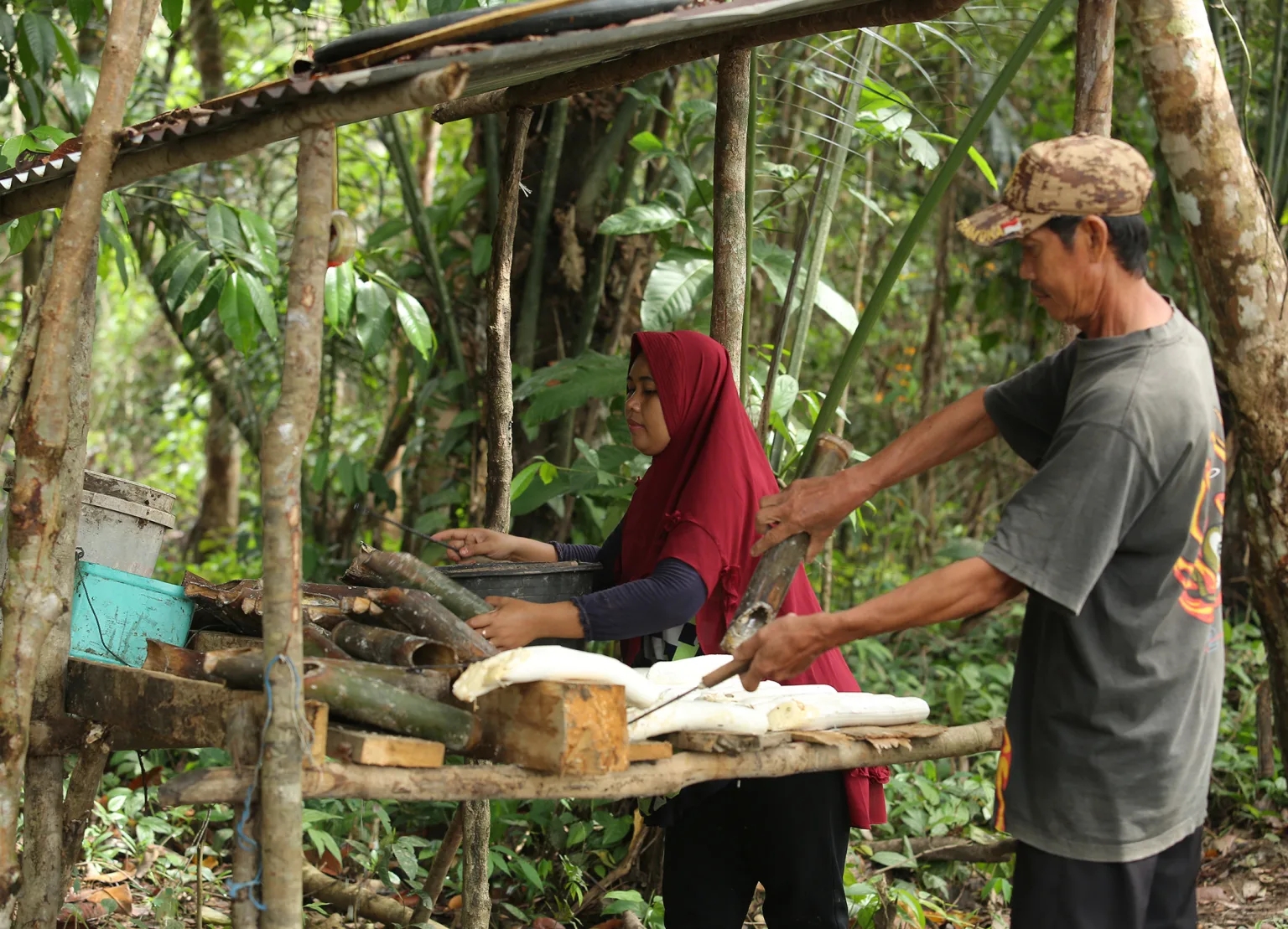 By 2027, a further 1,000 smallholders are to be involved in the project. © GIZ/Canopy Indonesia