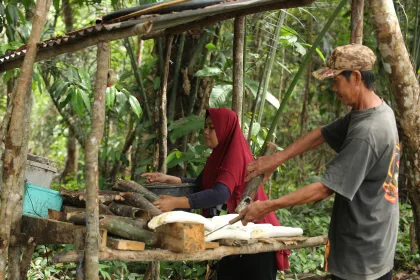 By 2027, a further 1,000 smallholders are to be involved in the project. © GIZ/Canopy Indonesia